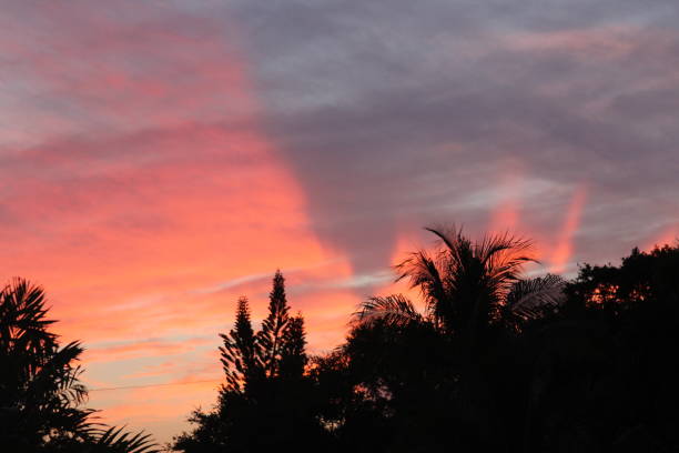 istock Cotton candy pink and orange sky 1309842937