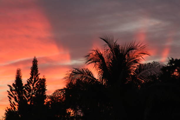 istock Cotton candy pink and orange sky 1309842954
