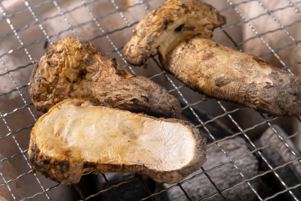 Matsutake mushrooms roasted on a shichirin. The taste of autumn in Japan. Matsutake mushrooms roasted on a shichirin. The taste of autumn in Japan. matsutake mushroom stock pictures, royalty-free photos & images