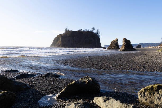 istock Late afternoon along the rugged coast of Washington on Ruby Beach 1309849506