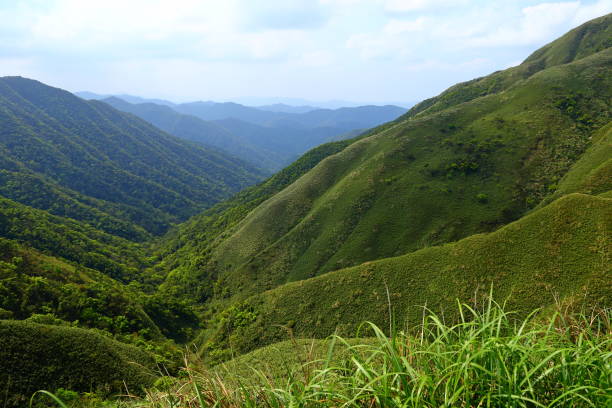 istock Famous Matcha (Green Tea) Mountain, Shengmu Hiking Trail 1309850540