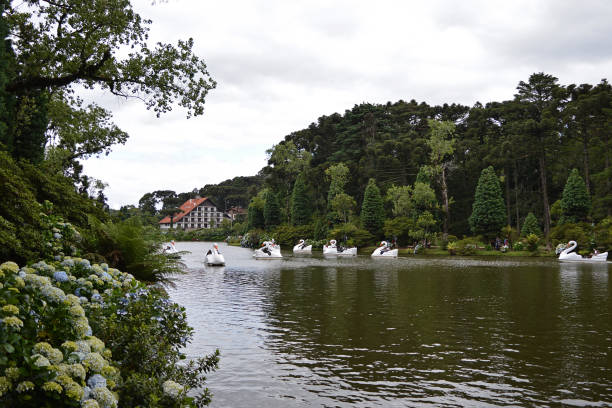 Lago Negro of Gramado - Brazil Tourist attraction such as Lago Negro and some pedal boats. Beautiful lake located in Gramado city, south of Brazil. gramado photos stock pictures, royalty-free photos & images