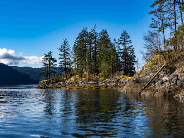 istock View of Indian Arm 1309853475