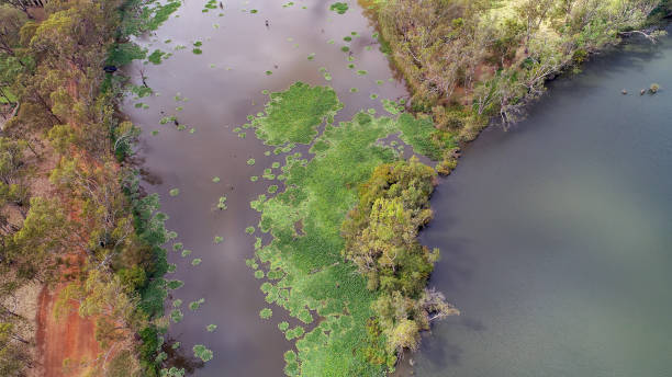 istock Nagambie Waters Aerial 1309854425
