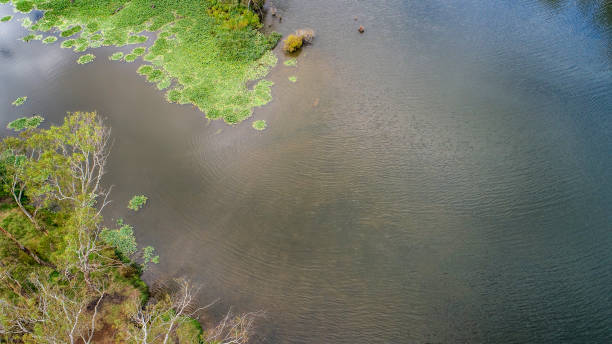 istock Nagambie Waters Aerial 1309854982