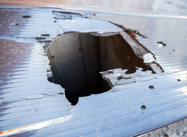 istock Punched canopy cover made of cellular polycarbonate 1309860535