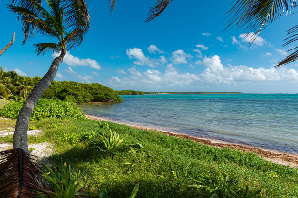 istock Secluded virgin beach in Tulum, Mexico 1309865881