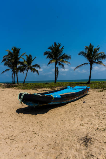 Pillayarkuppam Big Beach Pillayarkuppam Big Beach. Clean fine sand beach and white wave background, nature concept, outdoor day light, summer concept background. tamil nadu landscape stock pictures, royalty-free photos & images