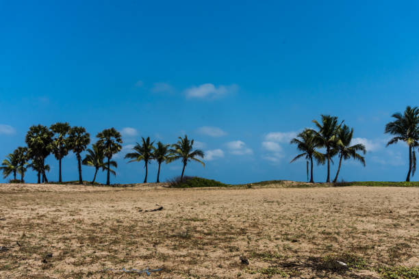 istock Pillayarkuppam Big Beach 1309871666