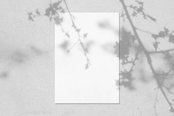 istock Empty white vertical rectangle poster mockup with leaves and flowers shadows 1309874228