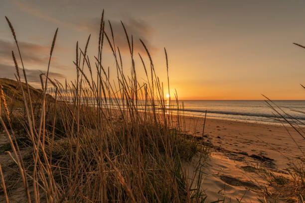 istock Sunrise at Whitburn beach 30th March 2020 1309875536