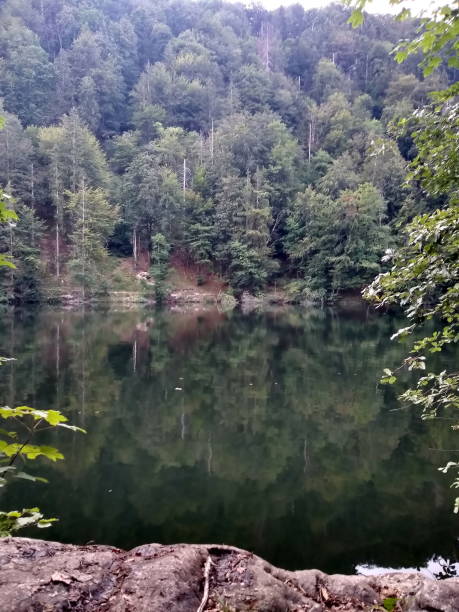 istock little idyllic mountain lake with reflecting trees 1309876779