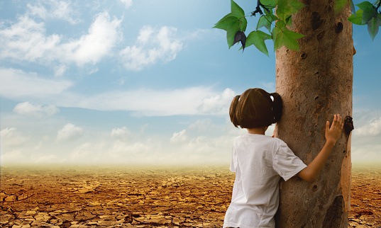 Girl hugging a tree on the cracked earth background. Global warming.