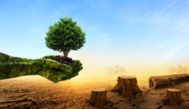 istock Green hands holding tree growing on dead stump tree on cracked land. Saving environment and natural conservation concept. 1309877743