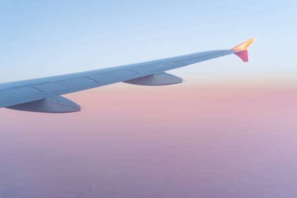 istock Wing of an airplane in the sunset 1309877939