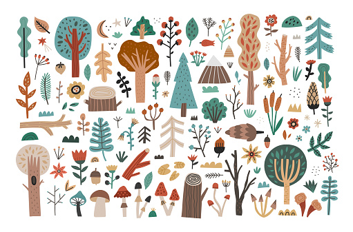 Big collection set of hand drawn woodland flora clipart isolated on white background. Cute forest trees, mushrooms, plants, flowers, leaves, branches, berries, bushes. Flat cartoon vector illustration