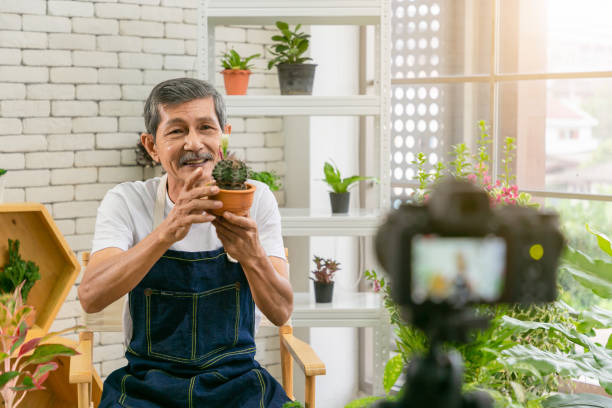 istock Senior man gardener working with camera presents houseplants during online live stream. 1309880101