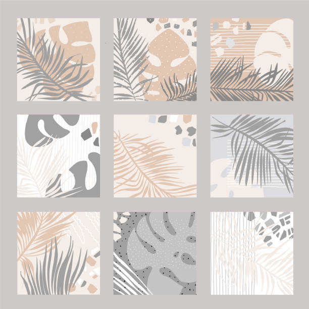 Set of tropical square templates for social media posts Set of tropical square templates for social media posts. Doodle style Vector illustration banana borders stock illustrations