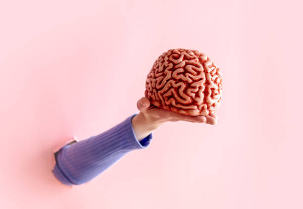 istock female hand hold human brain on pink background. 1309880472