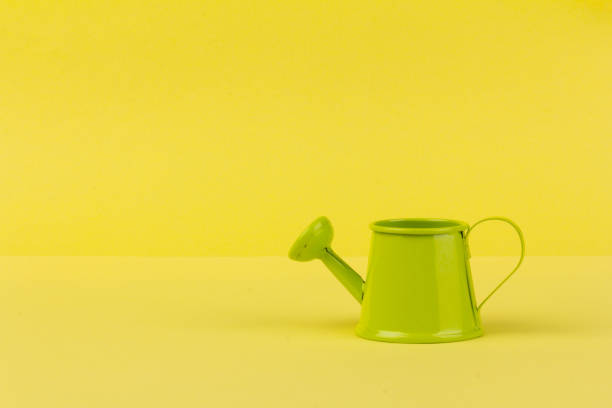 istock Garden watering can green on yellow on an isolated background 1309880593