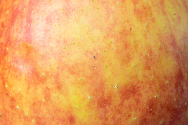 istock red and yellow apple skin with visible details 1309882782