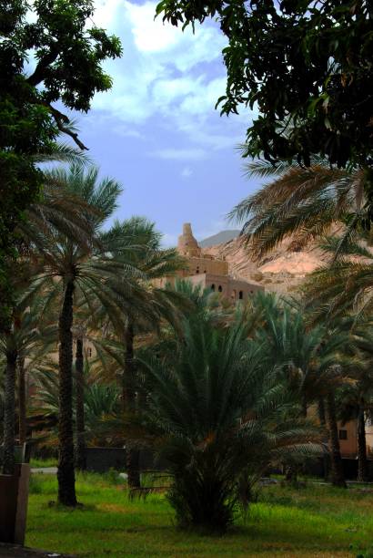 istock Deserted houses in Oman 1309884725