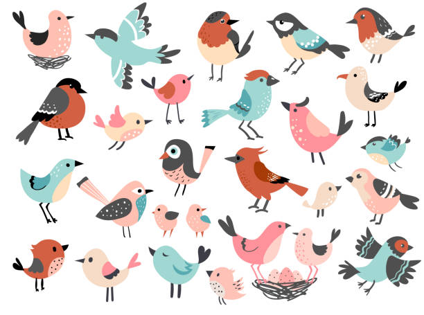 ilustraciones, imágenes clip art, dibujos animados e iconos de stock de lindo juego de pájaros. - aves