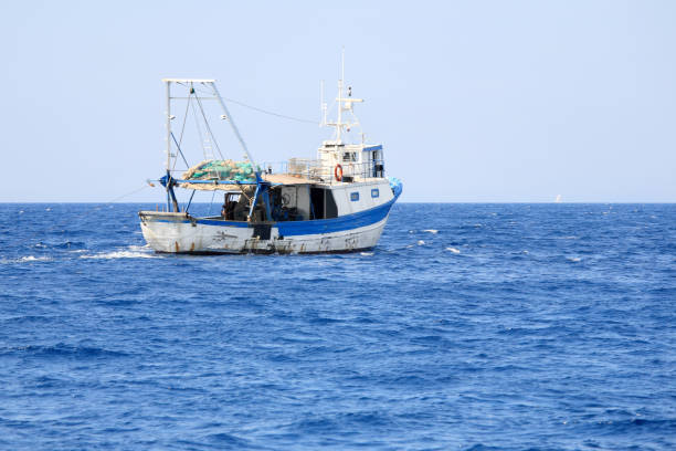 fishing - rede de arrastão imagens e fotografias de stock