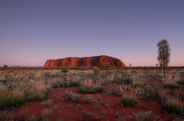 l’aube qui approche et uluru - uluru australia northern territory sunrise photos et images de collection