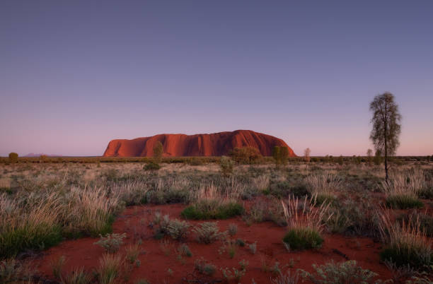 다가오는 새벽과 울루루 - uluru australia northern territory sunrise 뉴스 사진 이미지