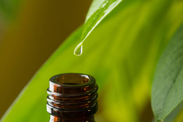 istock Herbal, alternative medicine, water drop falling down from a leaf to the bottle 1309886302