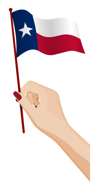 女手輕輕地舉著美國德克薩斯州的小旗子。假日設計項目。白色背景上的卡通載體 - 旗杆 幅插畫檔、美工圖案、卡通及圖標