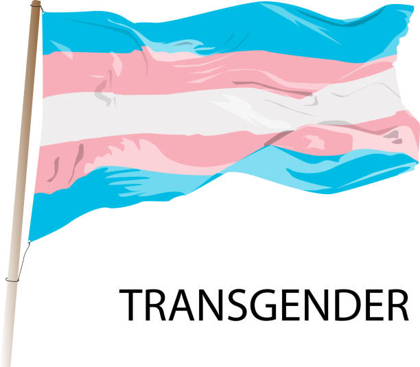 ilustrações, clipart, desenhos animados e ícones de uma bandeira transgênero sendo acenada. - trans