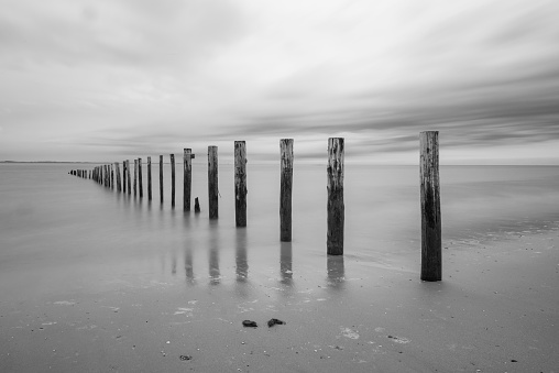 Beach poles in the sea on a cloudy day at the North Sea beach during a summer day at the Dutch coast. Black and white photo.