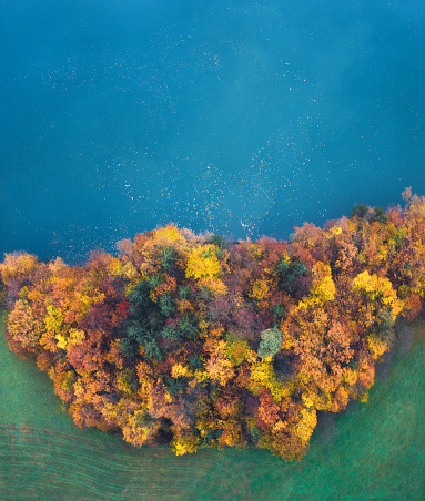 Aerial view on mixed forest in autumn colours by the beautiful blue lake.