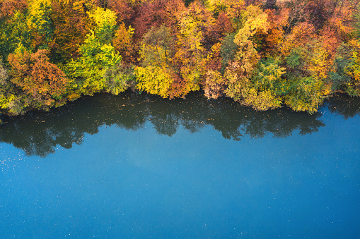 Aerial view on mixed forest in autumn colours by the beautiful blue lake.