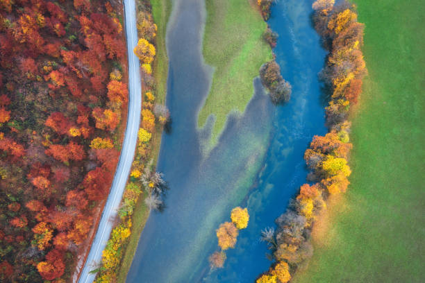 가을 풍경의 도로 - autumn sky blue treetop 뉴스 사진 이미지