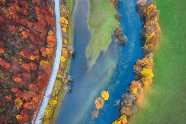 Road In Autumn Landscape