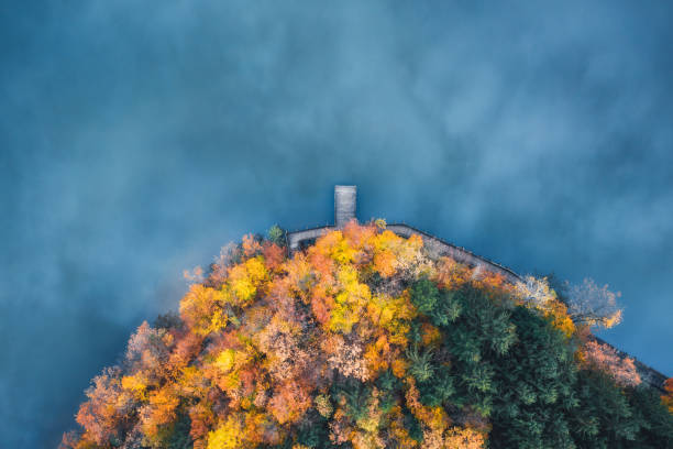 호수의 나무 길 - autumn sky blue treetop 뉴스 사진 이미지