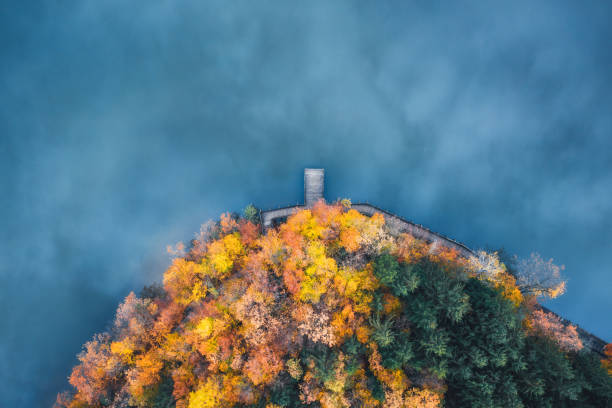 Aerial view on footpath with mixed forest in autumn colours by the beautiful lake.