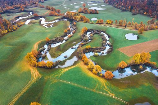 Aerial view on sinking river (Unica) in the middle of green fields. Trees in autumn colours.