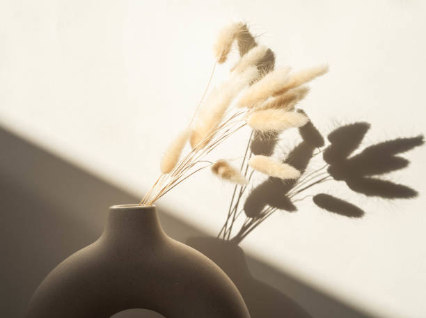 istock Round stylish ceramic vase with dried flower lagurus casting shadows 1309898135