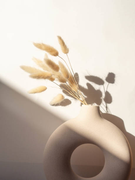 istock Round stylish ceramic vase with dried flower lagurus casting shadows 1309898176