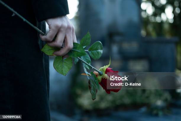 Cemetery Stock Photo - Download Image Now - Funeral, Rose - Flower, Grave