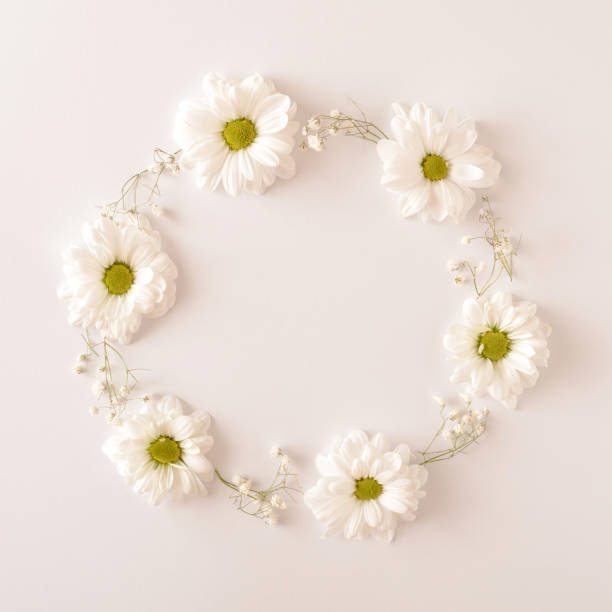 istock White flowers arranged in a circle on a white background. Spring wedding engagement concept. Flat lay frame. 1309900593