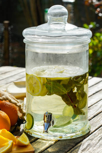 istock Jar with lime and lemon water in a garden 1309902946