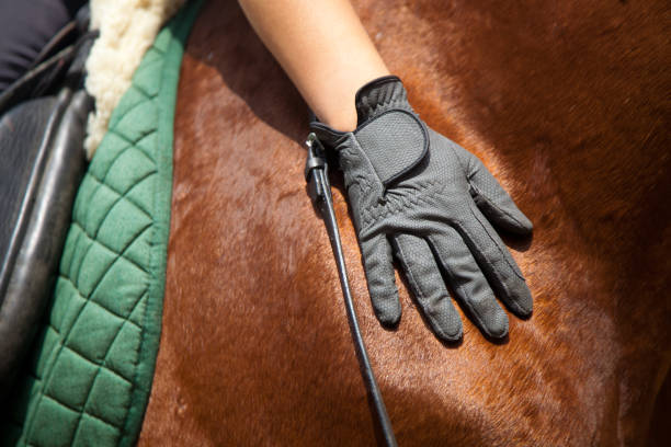 istock Girl and horse 1309907066