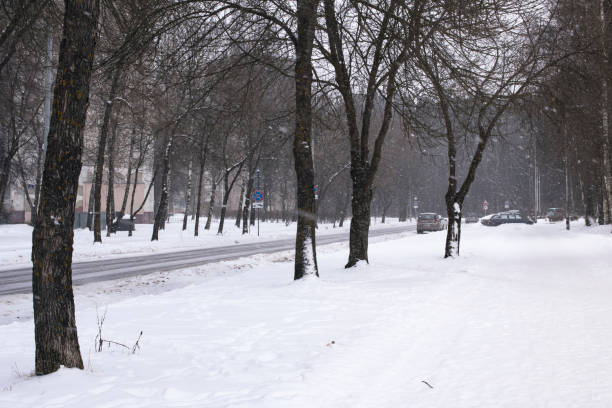 istock Road and trees in snow in city 1309907687