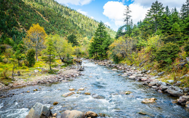 mountain stream and landscape view of potatso national park in yunnan china - província de yunnan imagens e fotografias de stock