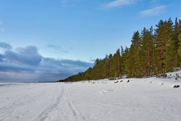 beautiful winter landscape with snow, with forest and with sky beautiful winter landscape with white snow drifts, with green coniferous forest and blue cloudy sky republic of karelia russia stock pictures, royalty-free photos & images